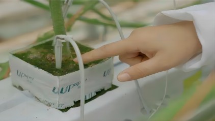 滴溅(422.238).jpg